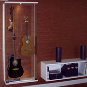Dekorativ: Instrumentenvitrine mit tapezierter Rückwand